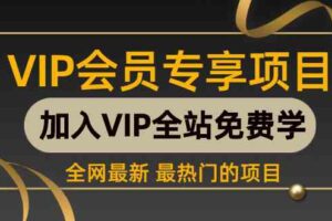 （9651期） 2024视频号最新撸收益技术，爆火赛道起号玩法，收益稳定，单日1000+