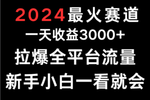 2024最火赛道，一天收一3000+.拉爆全平台流量，新手小白一看就会