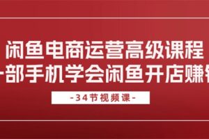 （10686期）闲鱼电商运营高级课程，一部手机学会闲鱼开店赚钱（34节课）