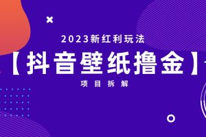 （6579期）2023新红利玩法：抖音壁纸撸金项目