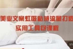 美业文案私域流量打造实用教程：学会私域流量打造和营销！