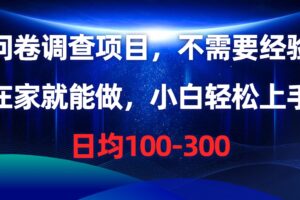 （10402期）问卷调查项目，不需要经验，在家就能做，小白轻松上手，日均100-300