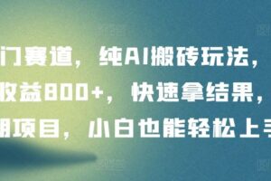 冷门赛道，纯AI搬砖玩法，单日收益800+，快速拿结果，长期项目，小白也能轻松上手【揭秘】