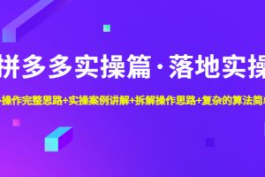 （4947期）拼多多实操篇·落地实操 完整思路+实操案例+拆解操作思路+复杂的算法简单化