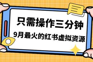 （7191期）一单50-288，一天8单收益500＋小红书虚拟资源变现，视频课程＋实操课＋…