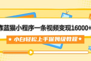 （7595期）靠蓝猫小程序一条视频变现16000+小白轻松上手保姆级教程（附166G资料素材）