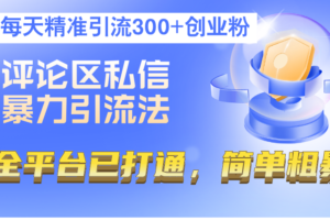 （12714期）评论区私信暴力引流法，每天精准引流300+创业粉，全平台已打通，简单粗暴