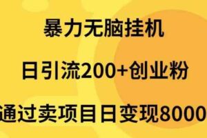 （9788期）暴力无脑挂机日引流200+创业粉通过卖项目日变现2000+