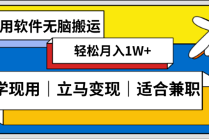 （8496期）低密度新赛道 视频无脑搬 一天1000+几分钟一条原创视频 零成本零门槛超简单