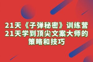 （10209期）21天《子弹秘密》训练营，21天学到顶尖文案大师的策略和技巧