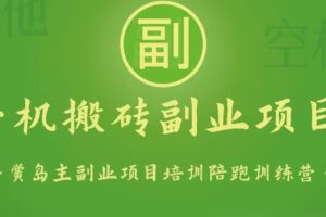 手机搬砖小副业项目训练营1.0，能用手机做的简单小副业