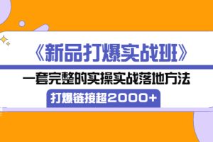 （3704期）《新品打爆实战班》一套完整的实操实战落地方法，打爆链接超2000+（38节课)