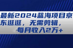 （11041期）最新2024蓝海项目京东逛逛，无需剪辑，每月收入2万+