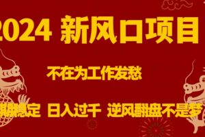 （8587期）2024新风口项目，不在为工作发愁，长期稳定，日入过千 逆风翻盘不是梦