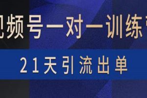 （3678期）视频号训练营：带货，涨粉，直播，游戏，四大变现新方向，21天引流出单