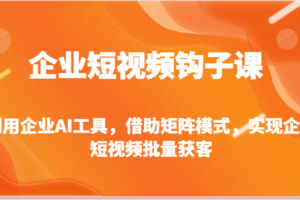 企业短视频钩子课-利用企业AI工具，借助矩阵模式，实现企业短视频批量获客