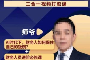 AI+财务人员进阶必修课二合一视频打包课，财务人员进阶必修课