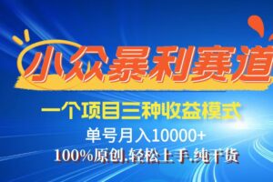 （12579期）【老人言】-视频号爆火赛道，三种变现方式，0粉新号调调爆款