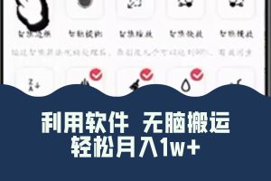 （8303期）最新蓝海独家玩法，利用软件无脑搬运，小白轻松日入1000＋