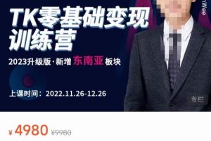 嘉伟·TK零基础变现训练营【第20期】2023升级版·新增东南亚板块，系统传授TK玩法，从小白到高手