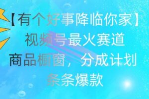 【有个好事降临你家】视频号爆火赛道，商品橱窗，分成计划，条条爆款【揭秘】