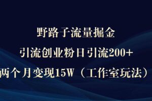 （9513期）野路子流量掘金，引流创业粉日引流200+，两个月变现15W（工作室玩法））