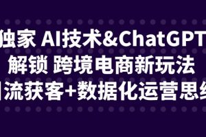 （6599期）独家 AI技术&ChatGPT解锁 跨境电商新玩法，引流获客+数据化运营思维