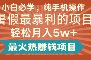 2024暑假最赚钱的项目，简单无脑操作，每单利润最少500+，轻松月入5万+