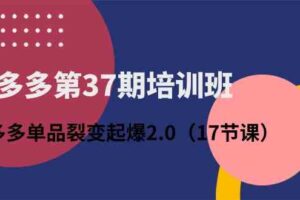 拼多多第37期培训班：拼多多单品裂变起爆2.0（17节课）