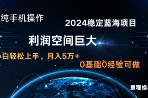 2024新蓝海项目 无门槛高利润长期稳定  纯手机操作 单日收益3000+ 小白当天上手