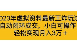 （6773期）2023年虚拟资料最新王炸玩法，自动闭环成交，小白可操作，轻松实现月入3…