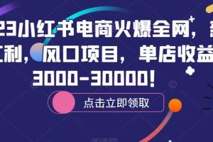 2023小红书电商火爆全网，新晋红利，风口项目，单店收益在3000-30000！