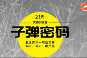 《子弹密码训练营》-用一句话文案勾人勾心卖产品，21天学到顶尖文案大师策略和技巧