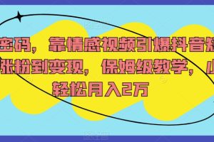 流量密码，靠情感视频引爆抖音短视频，涨粉到变现，保姆级教学，小白轻松月入2万【揭秘】