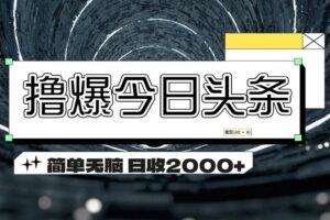 （11665期）撸爆今日头条 简单无脑操作 日收2000+