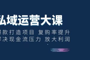 （6456期）私域运营大课：爆款打造项目 复购率提升 解决现金流压力 放大利润