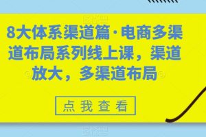 8大体系渠道篇·电商多渠道布局系列线上课，渠道放大，多渠道布局