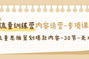 流量训练营之内容运营专项课，用流量思维策划爆款内容（30节课）