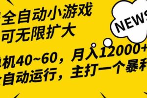 （10046期）2024最新全网独家小游戏全自动，单机40~60,稳定躺赚，小白都能月入过万