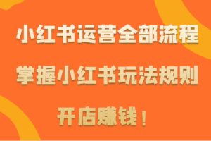 小红书运营全部流程，掌握小红书玩法规则，开店赚钱！