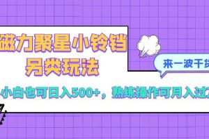 （8323期）磁力聚星小铃铛另类玩法，小白也可日入500+，熟练操作可月入过万