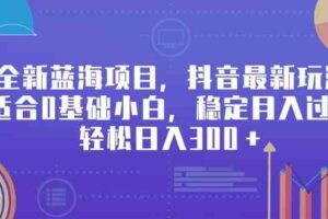 （9242期）全新蓝海项目，抖音最新玩法，适合0基础小白，稳定月入过万，轻松日入300＋