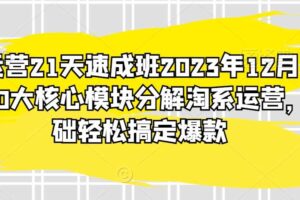 淘系运营21天速成班2023年12月完整版，10大核心模块分解淘系运营，0基础轻松搞定爆款