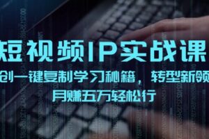 短视频IP实战课，独创一键复制学习秘籍，转战新领域，月赚五万轻松行