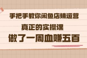 （3334期）2022版《手把手教你闲鱼店铺运营》真正的实操课 做了一周血赚五百 (16节课)