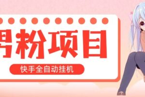 （10893期）全自动成交 快手挂机 小白可操作 轻松日入1000+ 操作简单 当天见收益