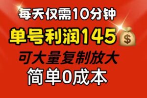 （12027期）每天仅需10分钟，单号利润145 可复制放大 简单0成本