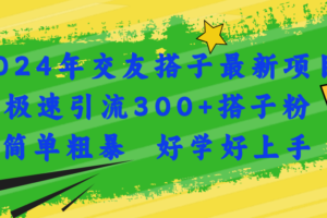 （11259期）2024年交友搭子最新项目，极速引流300+搭子粉，简单粗暴，好学好上手