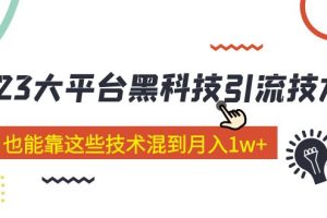 （5138期）价值4899的2023大平台黑科技引流技术 小白也能靠这些技术混到月入1w+29节课