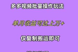 （10029期）拼多多视频带货快速过爆款选品教程 每天轻轻松松赚取三位数佣金 小白必…